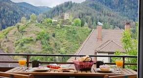 Schwarzwaldraum Schlossblick - Image 3