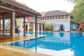 Birdsong,Goa - Image 3