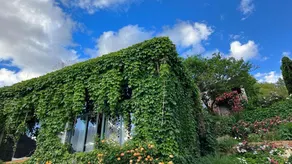TINGHUATANG SEAVIEW GARDEN INN - Image 5