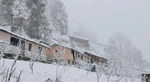 DS Residency Homestay, Chakrata - Image 5