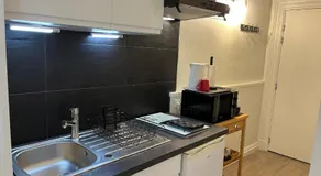 La terrasse de Dupuy,appartement climatisé - Image 2
