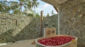 Palmterrace - Image 3
