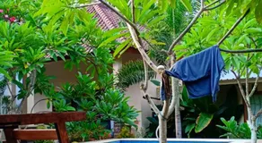 Santai Retreat - Image 4