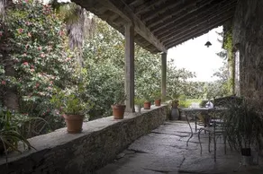 Suite con vistas al jardín - Image 5