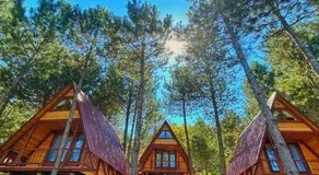 Fikri Atalay Konağı Bungalov Evleri - Image 4