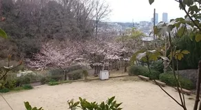 Ken House Osaka - Image 5
