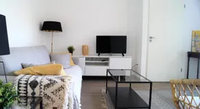 Little Suite - Albert - Image 2