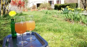 Voll ausgestattete Ferienunterkunft mit Garten und Terrasse - Image 4