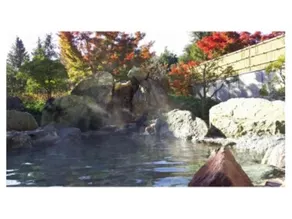 Igashira Onsen Chat Palace - Image 5