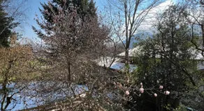 Zur Rose - Image 5