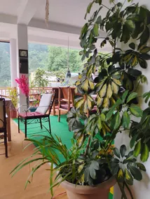 Wood Stone Home Stay - Image 2