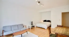 Very nice & large studio-Plasky - Image 2