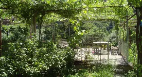 Guesthouse Valeria - Image 5