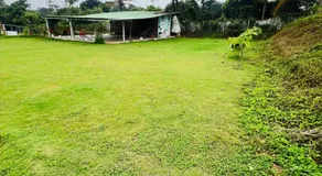 The Fairy Tale Farms - Image 5