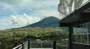 Tree Love Temanggung Hotel - Image 3