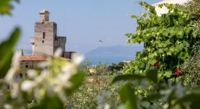 Casa Artista 5 Stelle Centrale-Vista Mare-Free Parking - Image 4