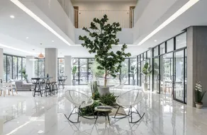 Tree Tara hotel - Image 3