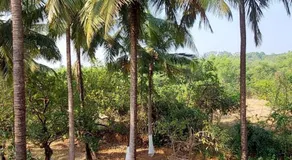 Sneha Farm House - Image 3