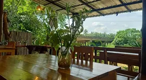 Suankafae Resort สวนกาแฟรีสอร์ท - Image 3