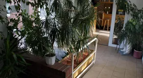 Landhotel Pagram-Frankfurt/Oder - Image 3