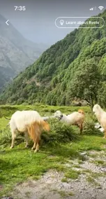 Nature touch , Feel like home - Image 5