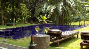 Madampe House yummy green Heaven - Image 4