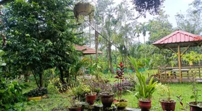 Manna Homestay coorg - Image 5