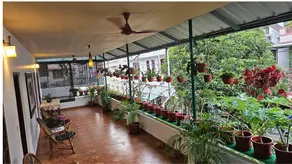 Silverweed homestay - Image 5