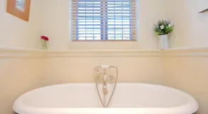 The Thatch - Image 4