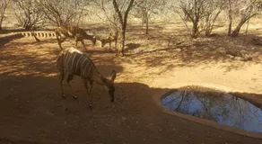 Aloes Bush Stay - Image 4