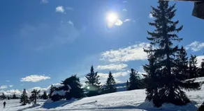 Koselig, lita hytte på Aurdalsåsen ved Danebu - Image 4