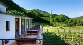 Vržina Farm House Skadar Lake - Image 5