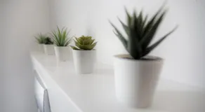 Apartment Tugare - Image 2