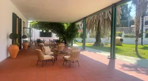 Viña Femita - Image 4