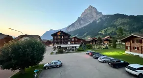 Alpina Appartment Kandersteg - Image 3