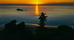 Nature View - Image 4