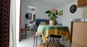 Maisonnette de Jardin - Image 3
