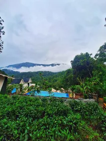 Bestinn Leisure Chalona Munnar - Image 4