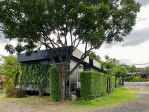 Sabaydee Loft House & Sabaydee Cafe - Image 5