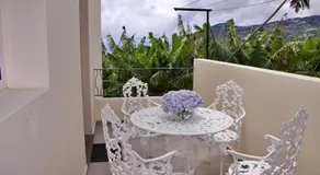 Quinta Tallinus - Image 5