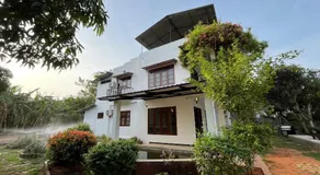 Wind Haven Yala - Image 3