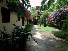 Cuadruple - Image 4
