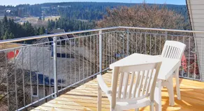 Chalet Sonnenhang Oberhof - Image 3