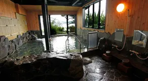 Hotel Shosenkaku Romankan - Image 3
