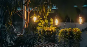 Harmonic Hideout - Image 4