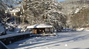 Pension Volkert - Image 5