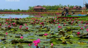 Banpak Suankaew Talaynoi - Image 3