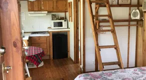 Ft. Wilderness RV Park and Campground - Image 2