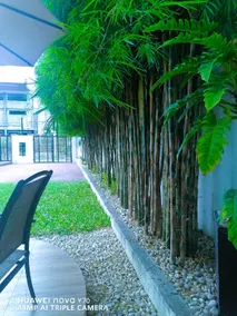 Kathys Home Garden Suites - Image 4