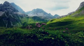 Erholsamer Traumurlaub wo auf Bergen Schlößer wachsen - Image 5